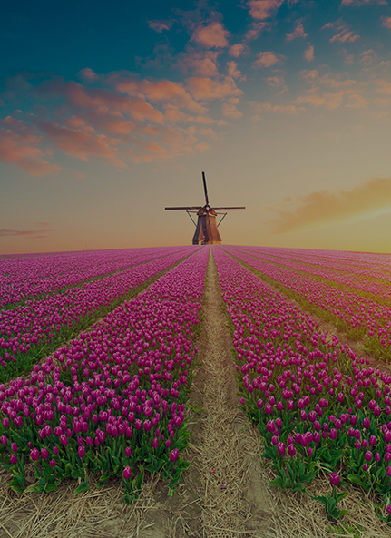 Netherlands